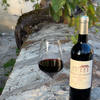 Château de Brague Rouge 2020